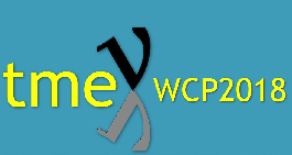 TMEX 2018 WCP: European Workshop on Water Cherenkov Precision Detectors for Neutrino and Nucleon Decay Physics